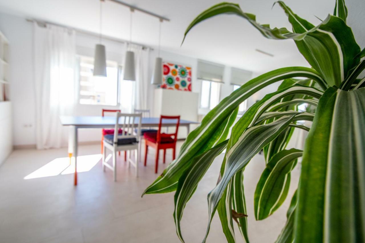 Apartamento El Rayo Verde กาดิซ ภายนอก รูปภาพ